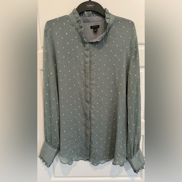 Ann Taylor Clip Dot Sheer Grey Metallic Silver Blouse Size Xl Long Sleeves - Picture 1 of 8